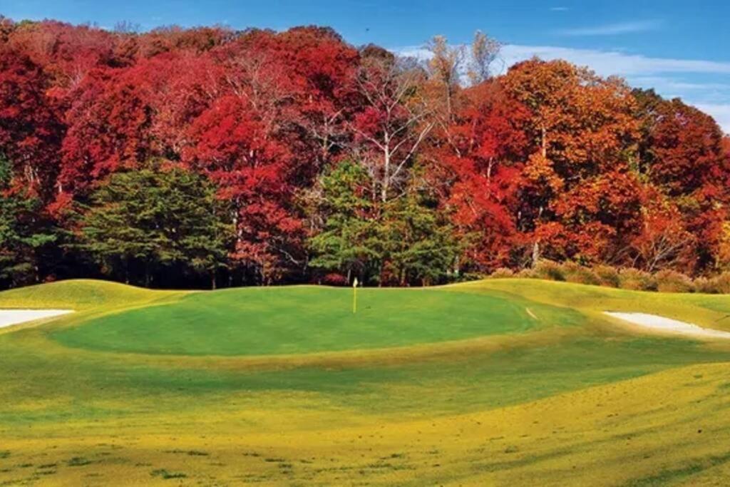 *new* Cedar Lodge, Nature Lovers Dream! Oak Ridge
