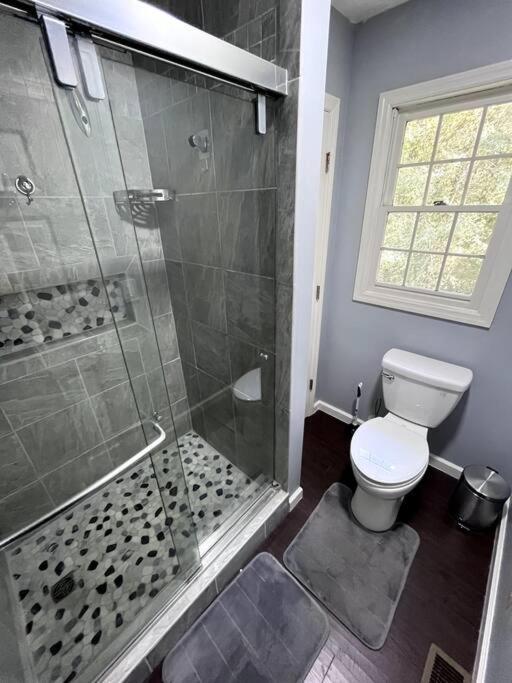 *new* Cedar Lodge, Nature Lovers Dream!